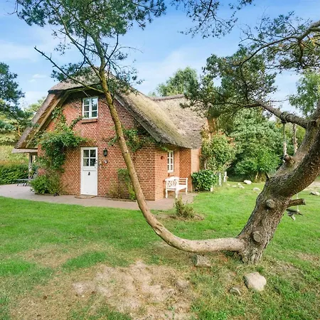 Ariela - 1-1km From The Sea By Interhome * Vesterhede